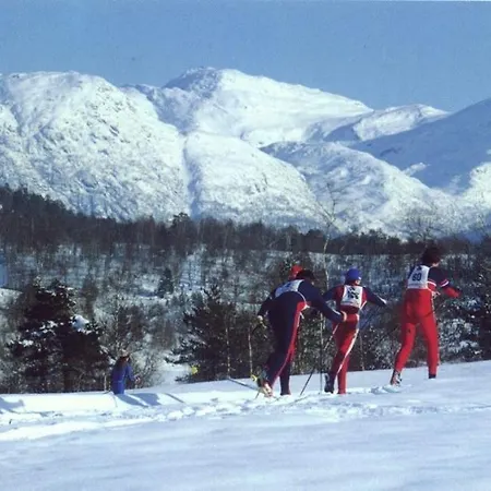 Hardanger Feriesenter Sjusete * Norheimsund